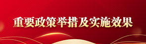 重要政策舉措及實施效果